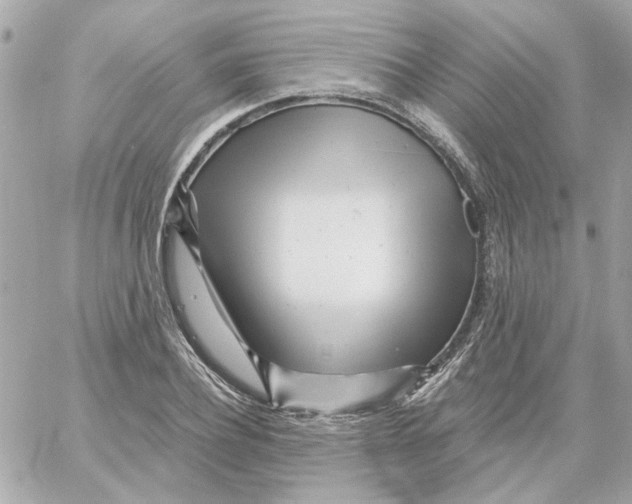 X0000059060932200511041725