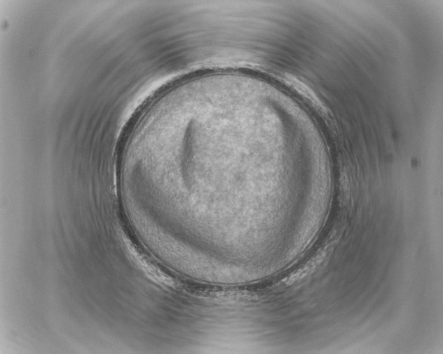 X0000059060934200511041725