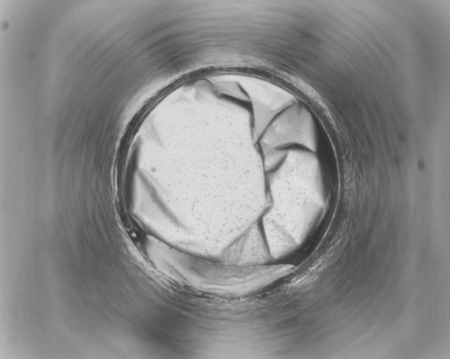 X0000059060935200511041725