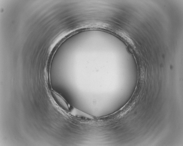 X0000059060936200511041725