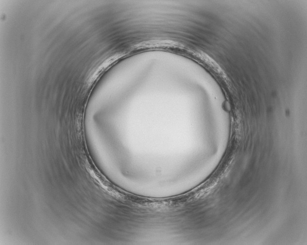 X0000059060937200511041725