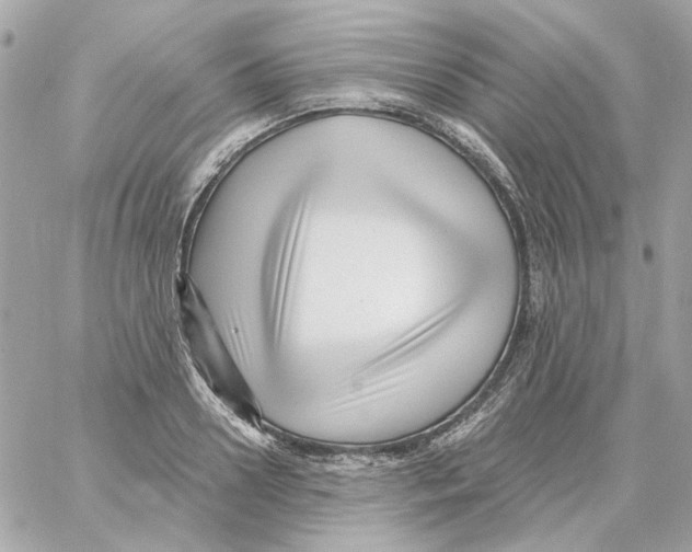 X0000059060938200511041725