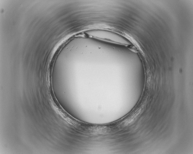 X0000059060939200511041725