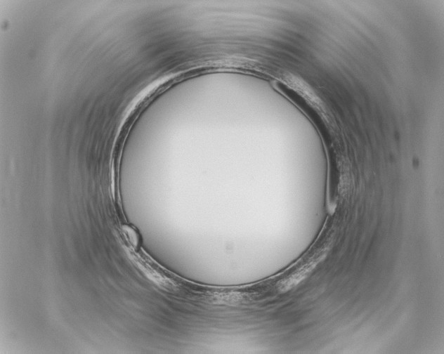 X0000059060940200511041725