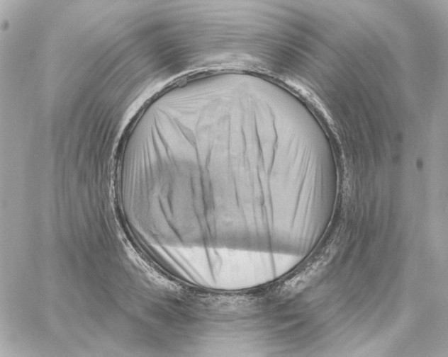 X0000059060941200511041725