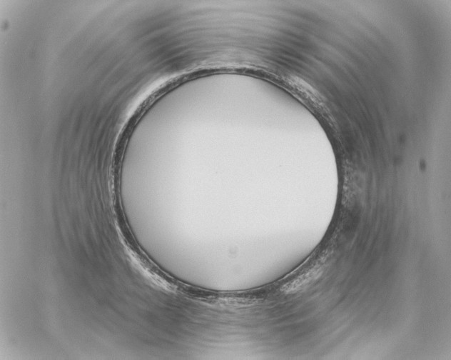 X0000059060942200511041725