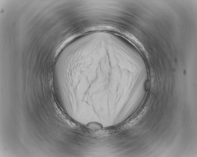 X0000059060945200511041725