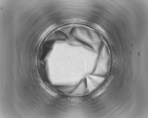 X0000059060946200511041725