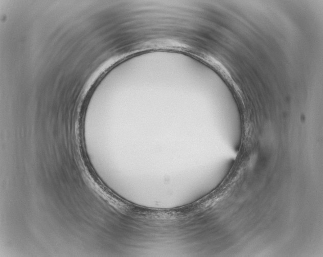 X0000059060947200511041725