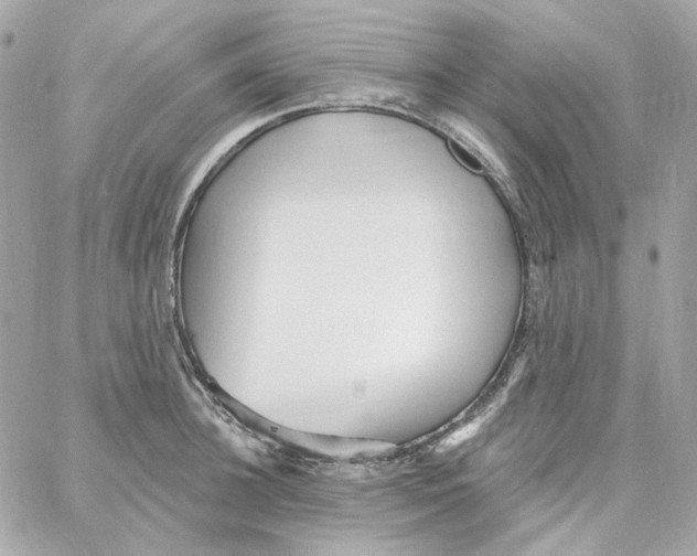 X0000059060948200511041725