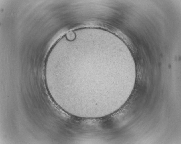 X0000059060950200511041725