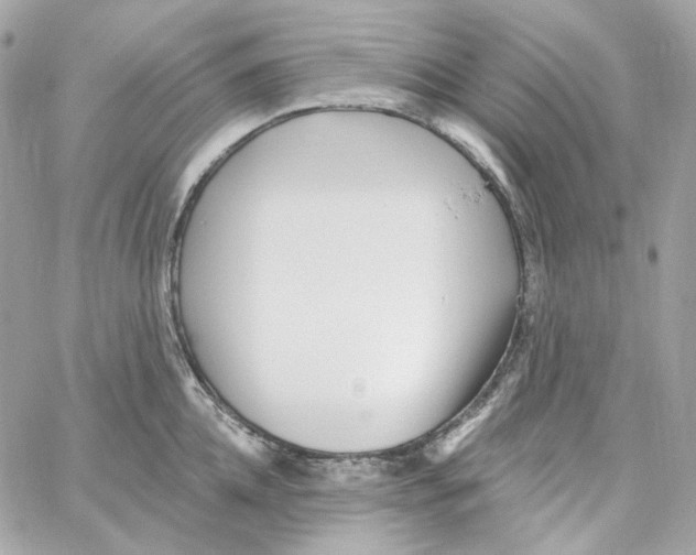 X0000059060952200511041725