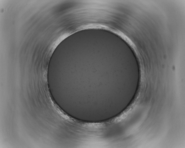 X0000059060953200511041725