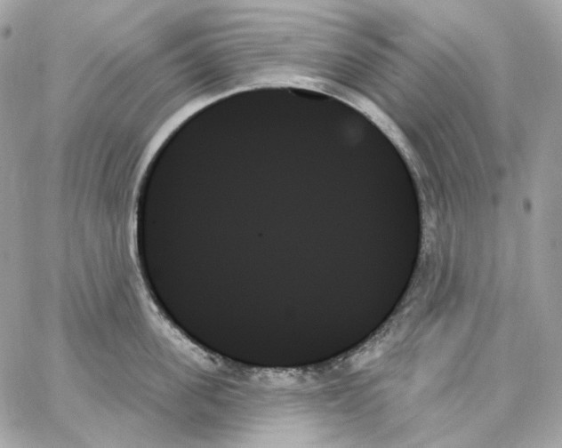 X0000059060955200511041725