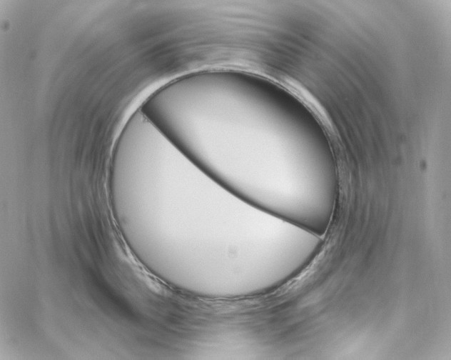 X0000059060956200511041725