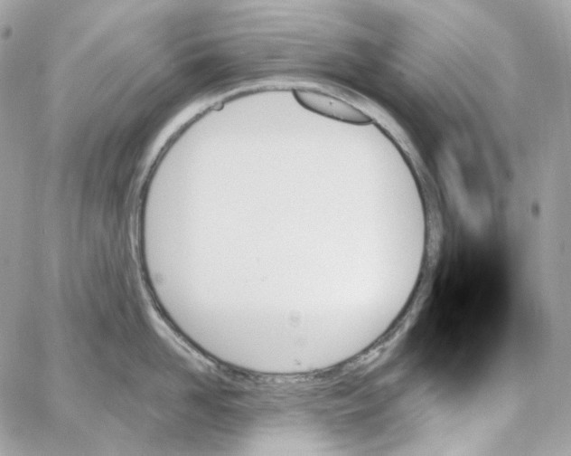 X0000059060958200511041725