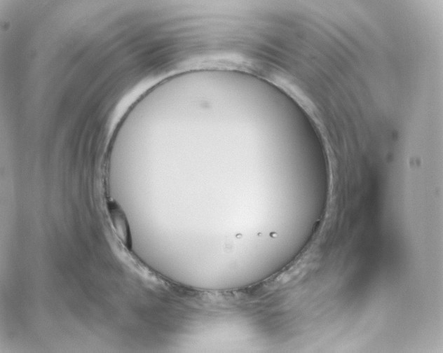 X0000059060960200511041725