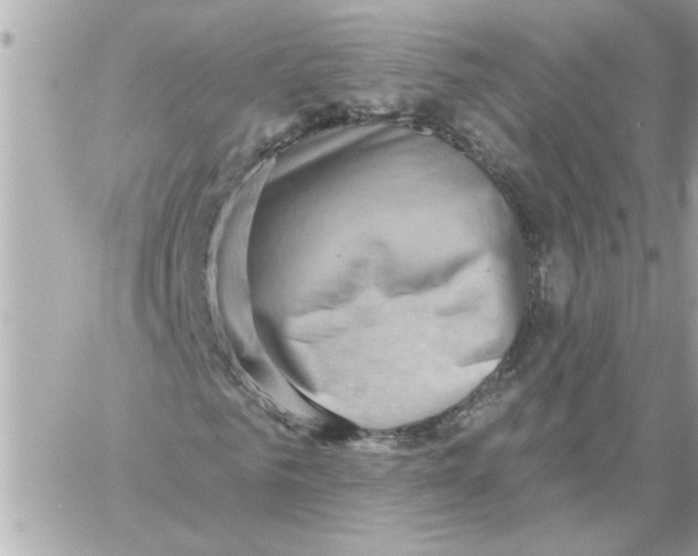 X0000059060961200511041724