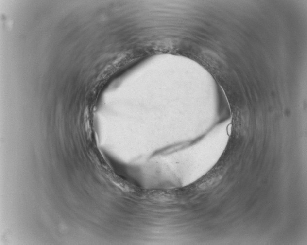 X0000059060962200511041724