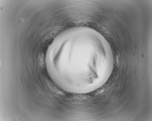 X0000059060963200511041724