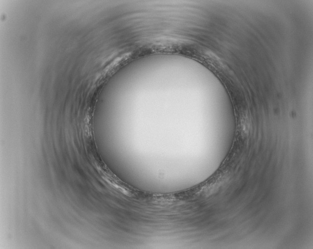 X0000059060964200511041724