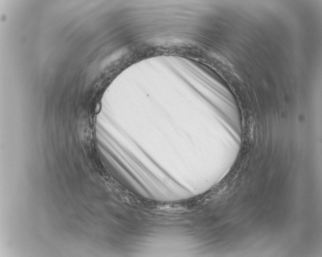 X0000059060966200511041724