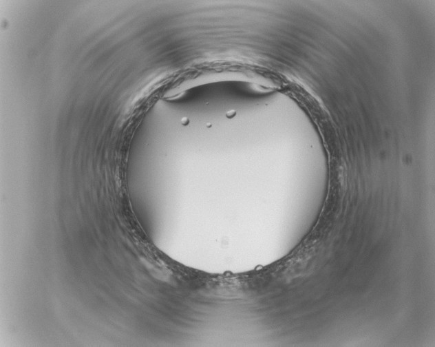 X0000059060968200511041724