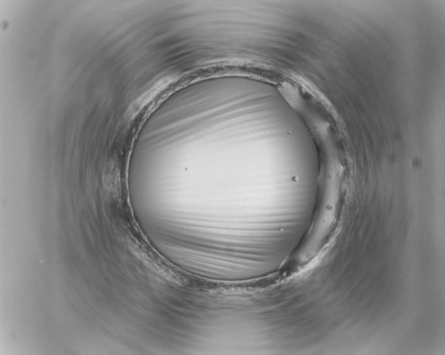 X0000059060969200511041724