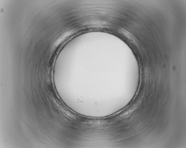 X0000059060970200511041724