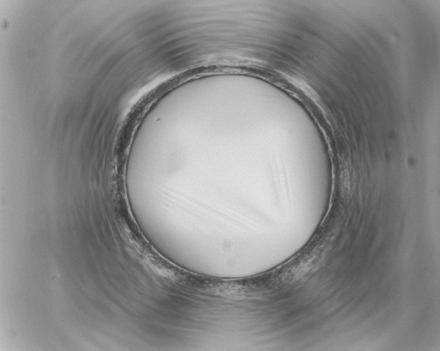 X0000059060971200511041724