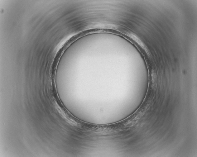 X0000059060972200511041724