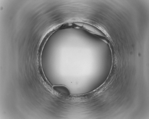 X0000059060976200511041724