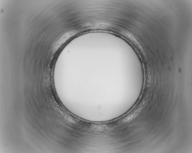 X0000059060978200511041724