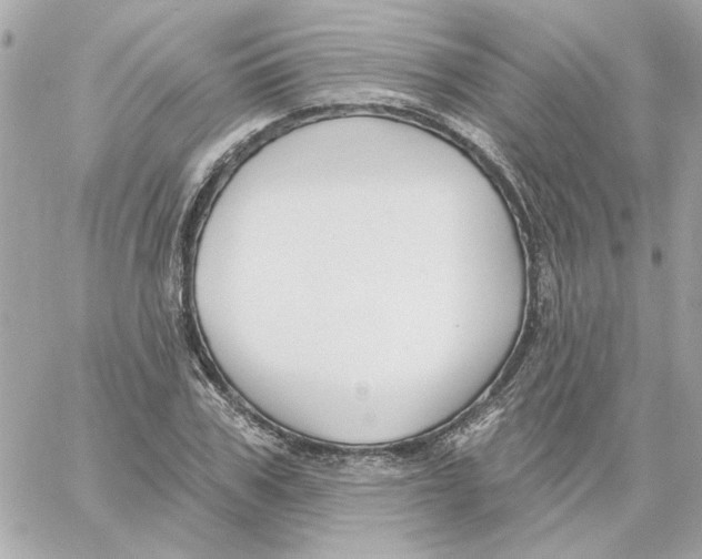 X0000059060979200511041724