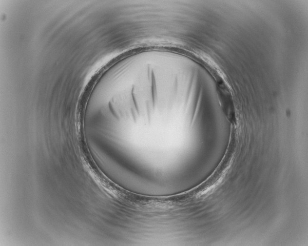 X0000059060981200511041724