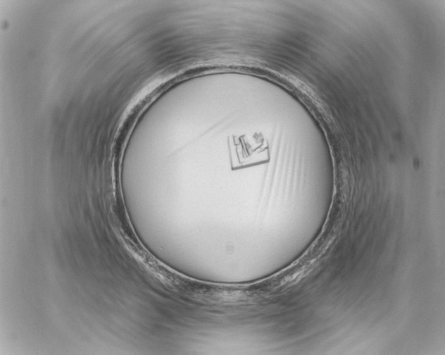 X0000059060982200511041724