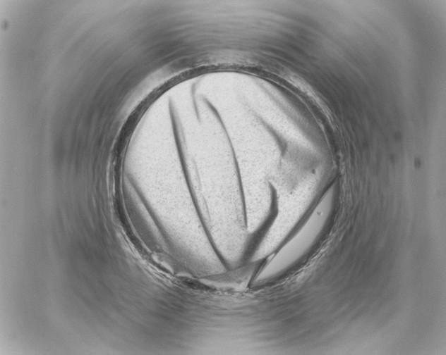 X0000059060983200511041724