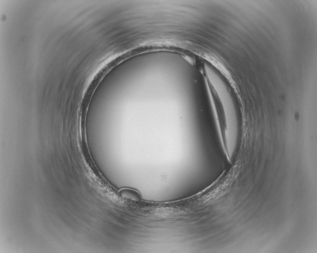 X0000059060984200511041724