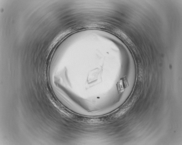 X0000059060986200511041724