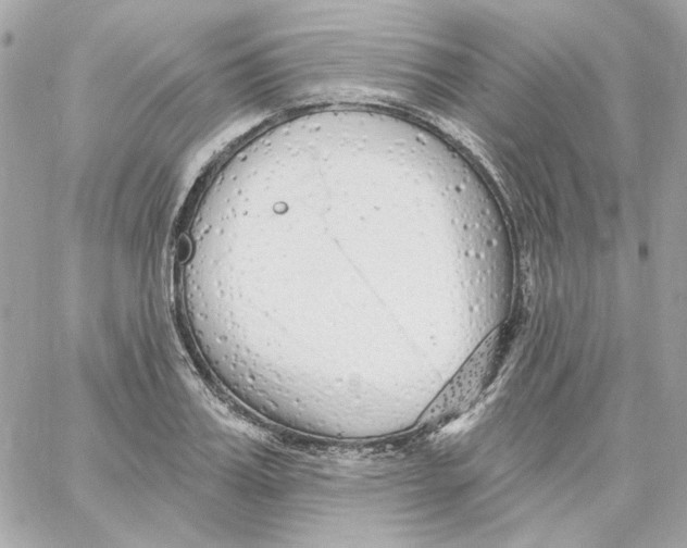 X0000059060987200511041724