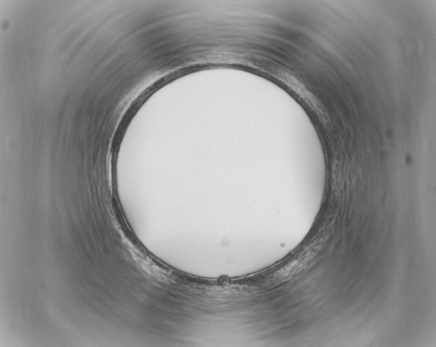 X0000059060988200511041724