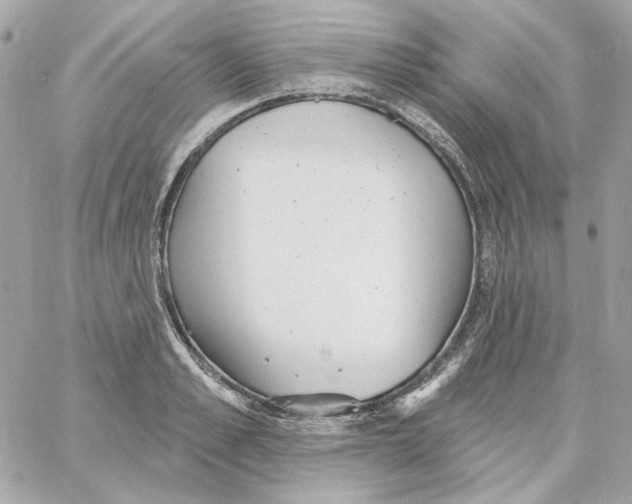 X0000059060989200511041724