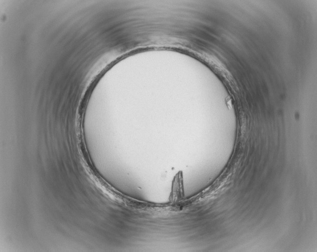 X0000059060990200511041724