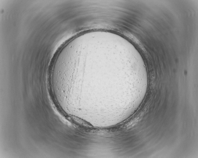 X0000059060991200511041724