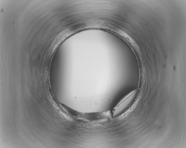 X0000059060993200511041724