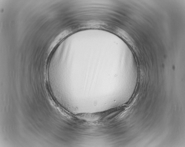 X0000059060994200511041724