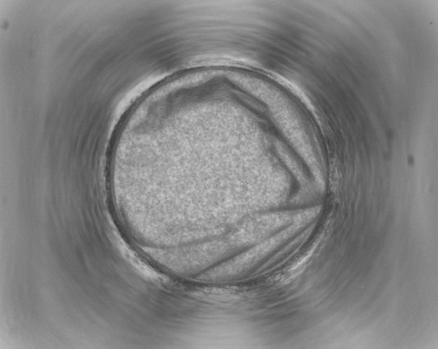 X0000059060995200511041724