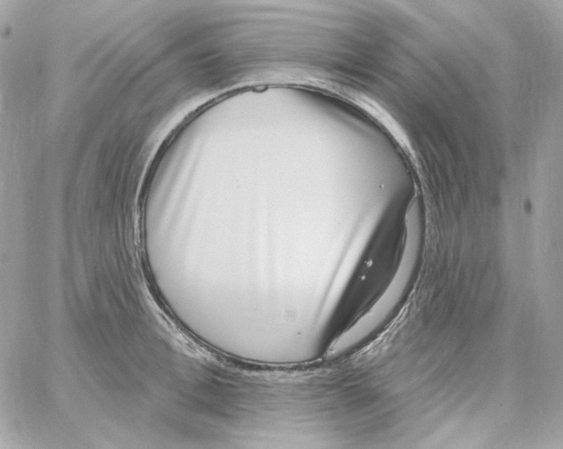 X0000059060996200511041724