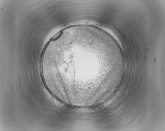 X0000059060998200511041724