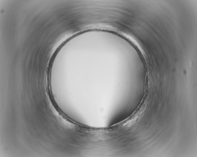 X0000059060999200511041724